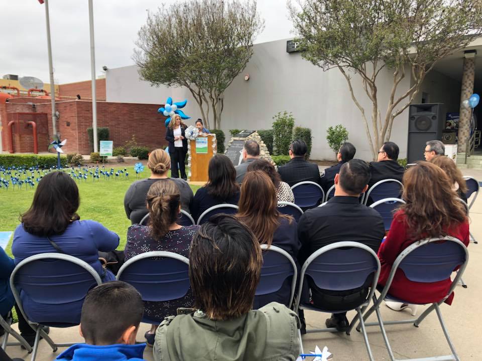 Pinwheel For Prevention2